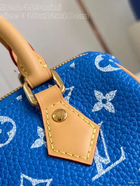 LOUIS SPEEDY VUITTON 18 0420